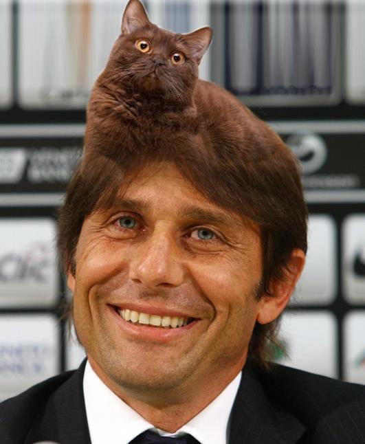 antonio_conte_gatto[1]